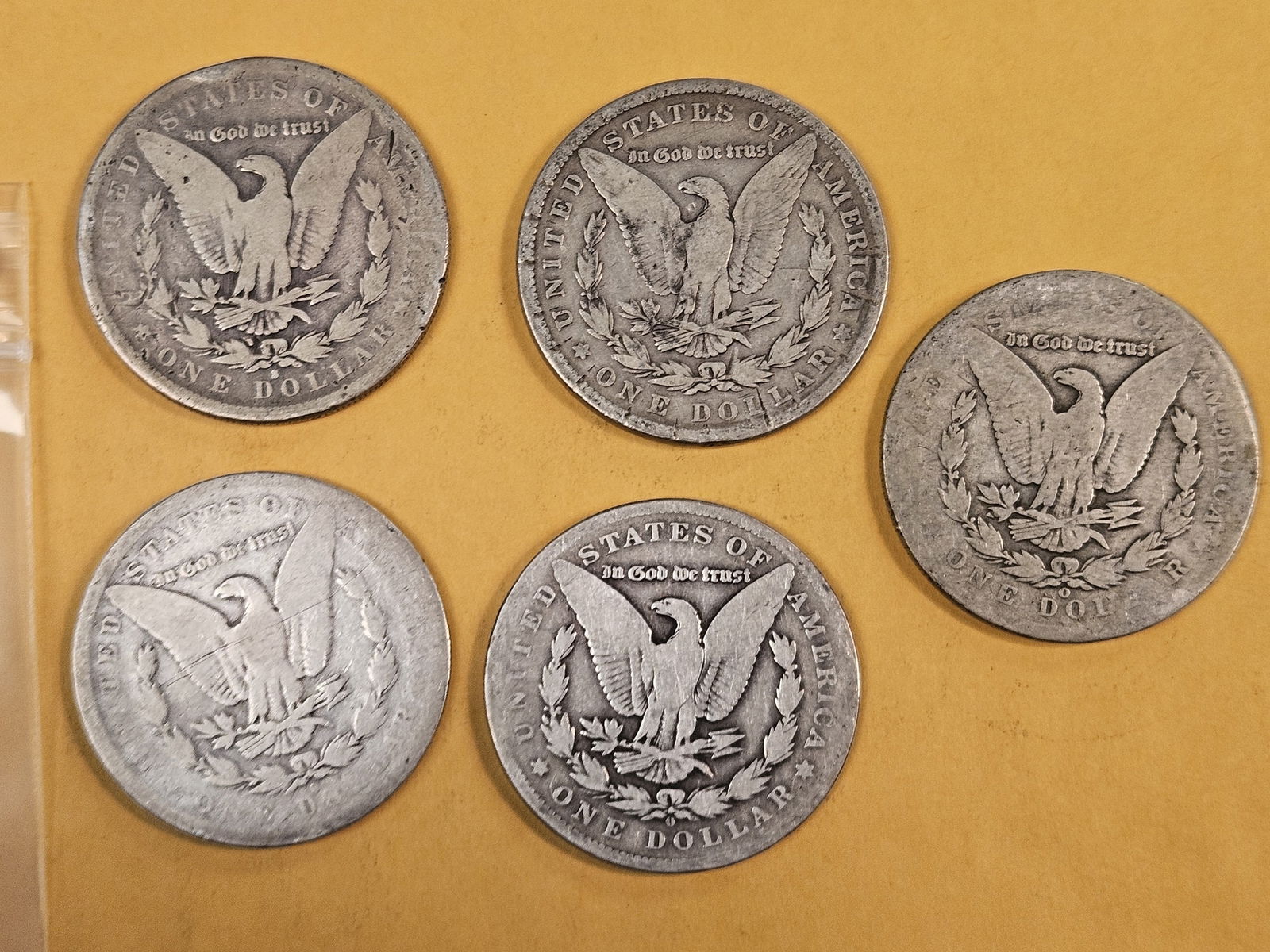 Five mixed Morgan Silver Dollars - 2