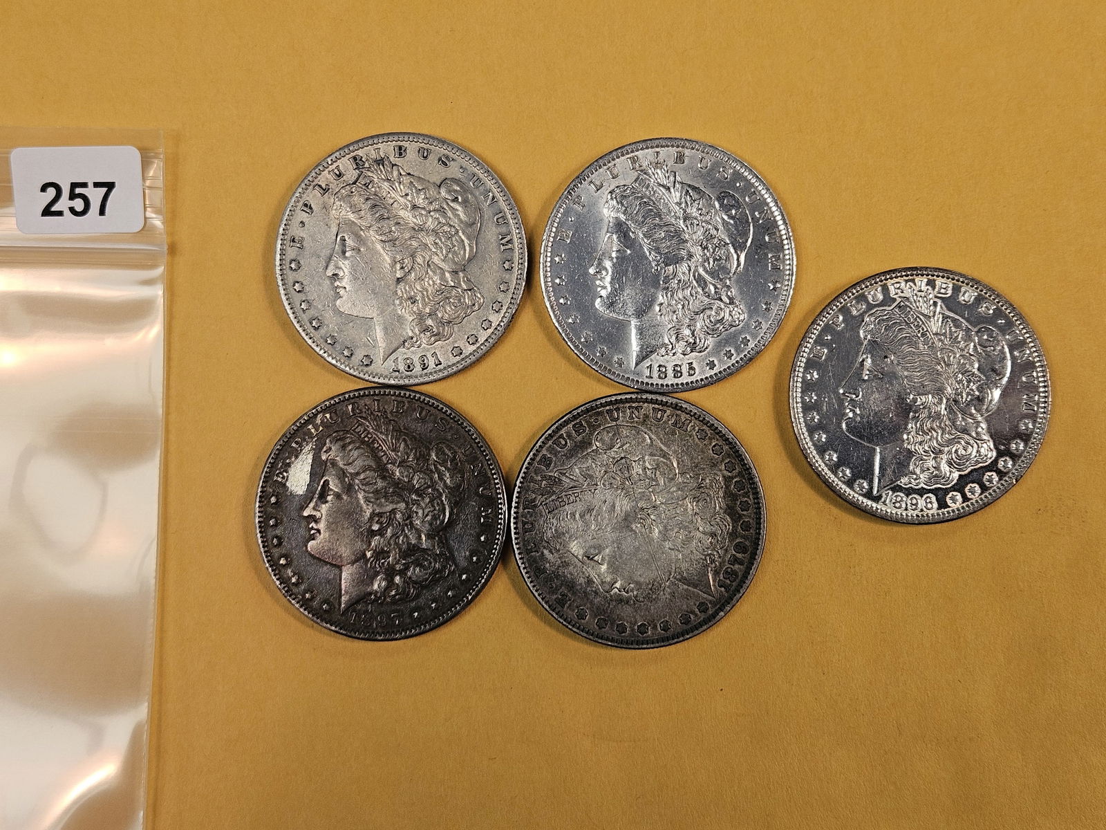 Five mixed Morgan Silver Dollars: Circulated 