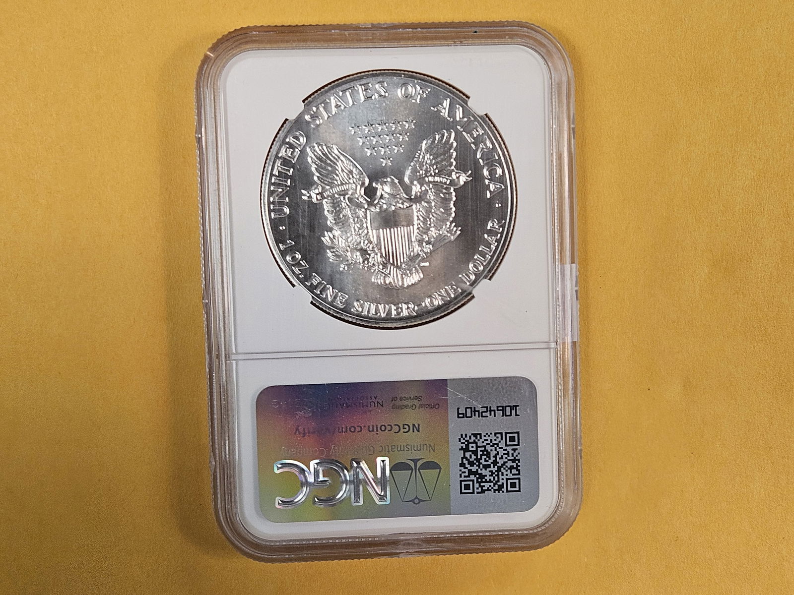 NGC 1989 American Silver Eagle in Mint State 69 - 2