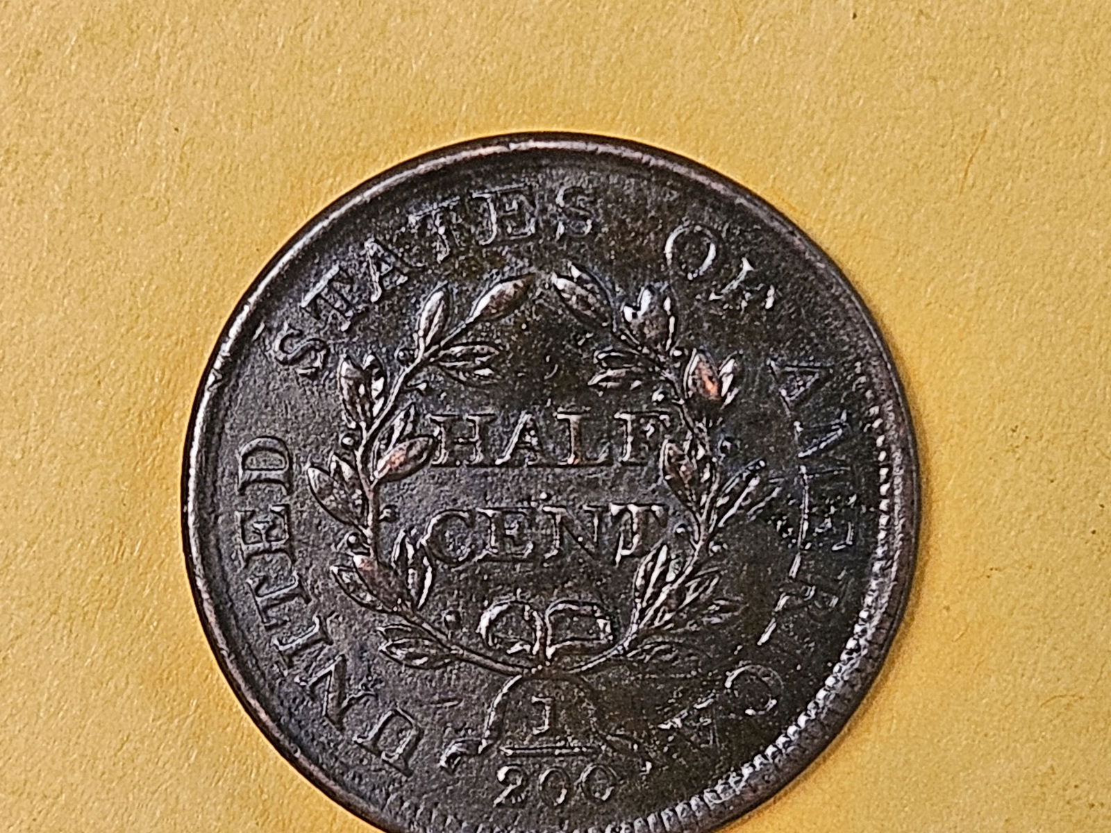 * 1804 Draped Bust Half Cent in Extra Fine - details - 6