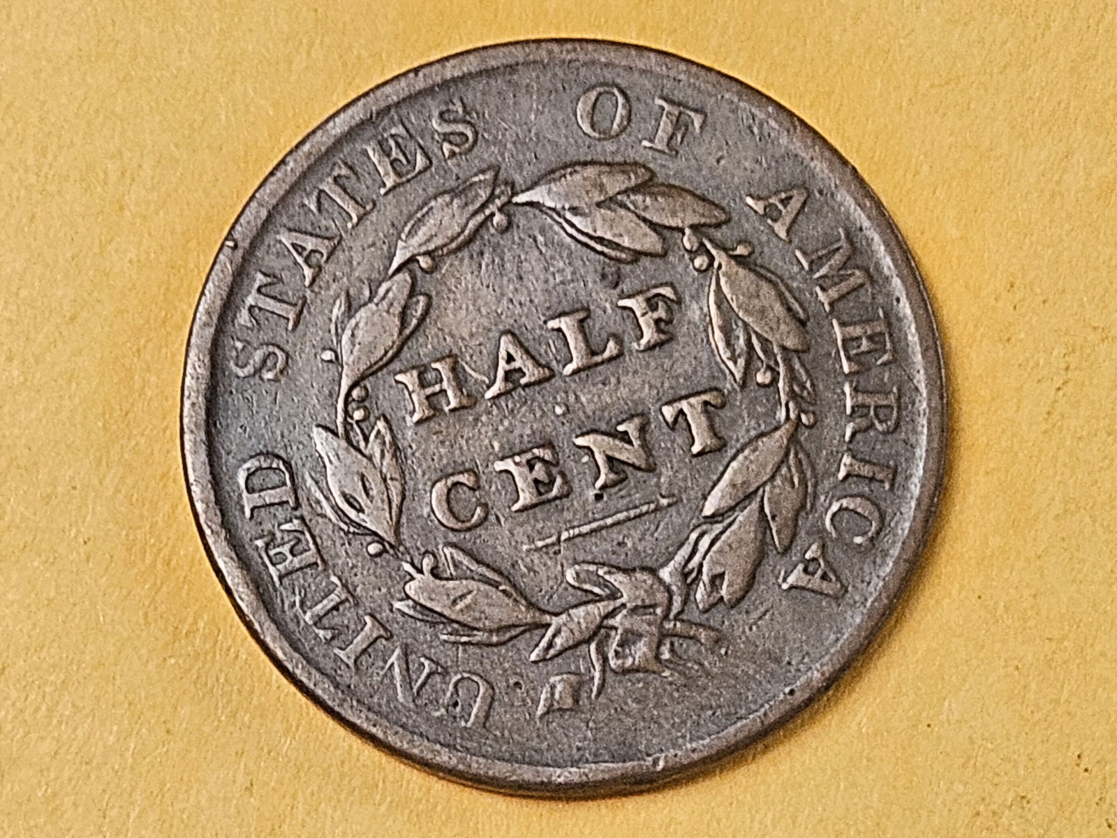 1825 Classic Head Half Cent in Very Fine - 4