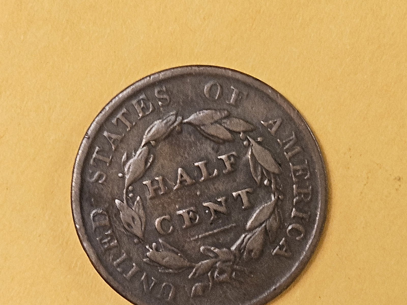 1825 Classic Head Half Cent in Very Fine - 5