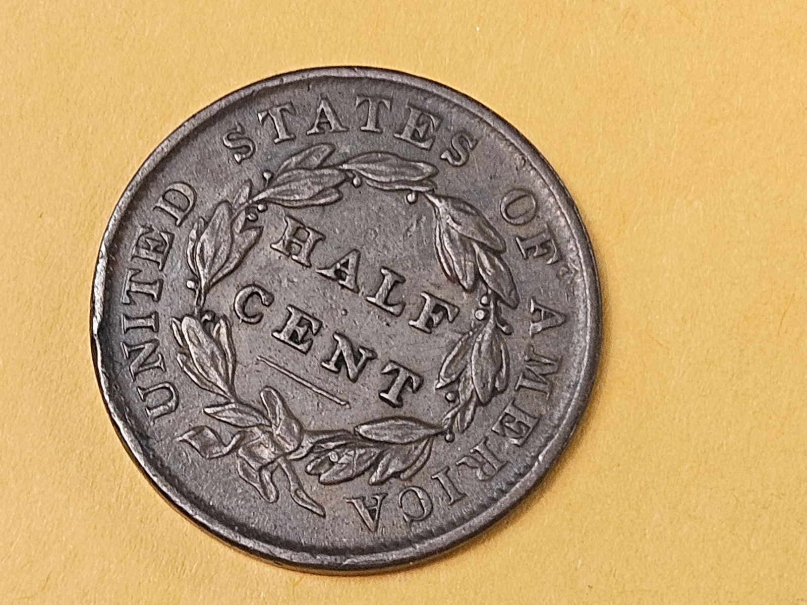 1835 Classic Head Half Cent in Extra Fine - 5