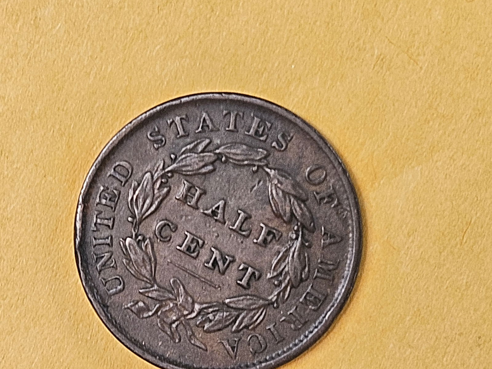 1835 Classic Head Half Cent in Extra Fine - 6