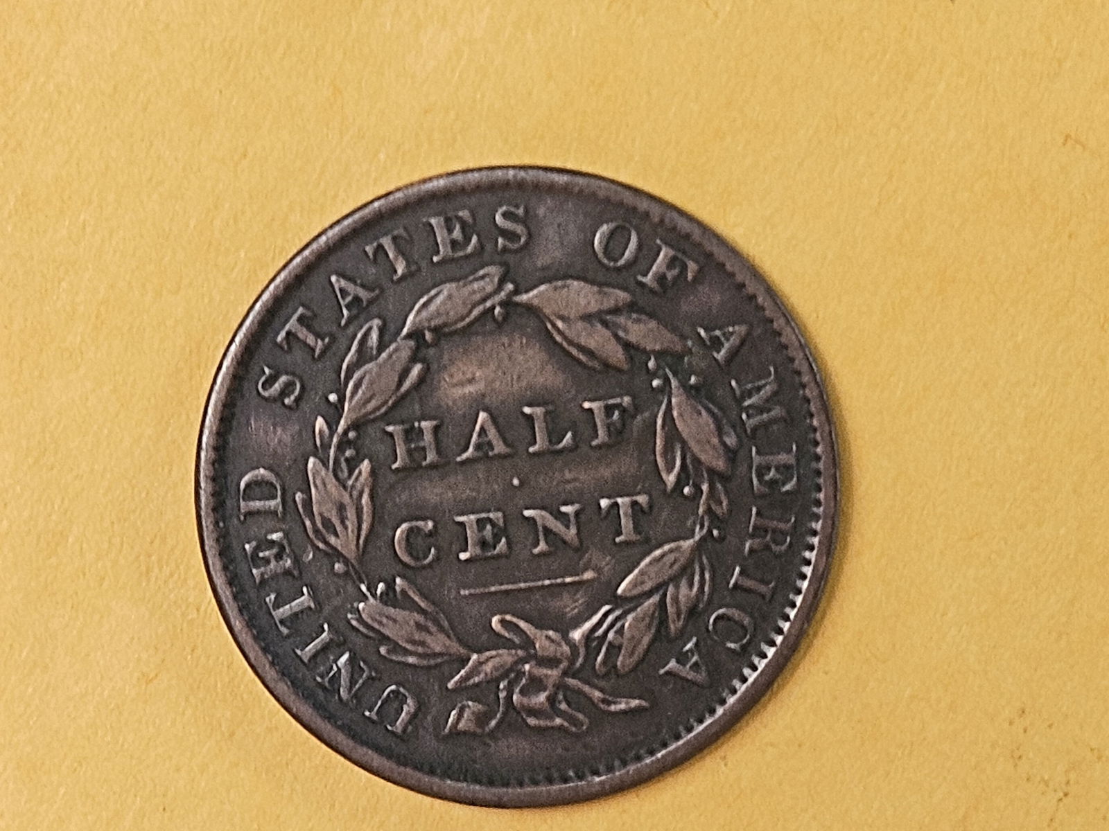1834 Classic Head Half cent in Very Fine - 30 - 5