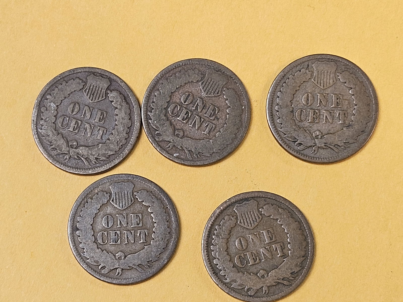 Five Better Date Indian Cents - 4
