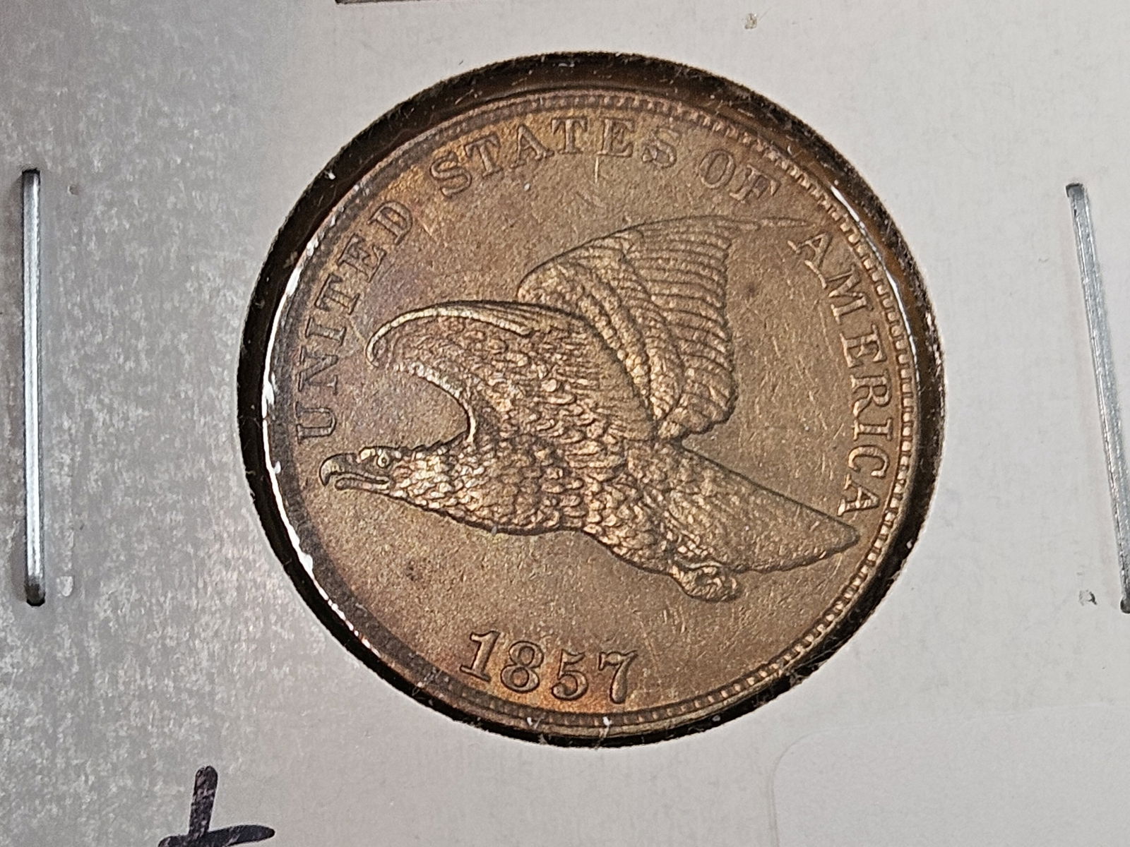 ** 1857 Flying Eagle Cent in About Uncirculated - 55 - 3