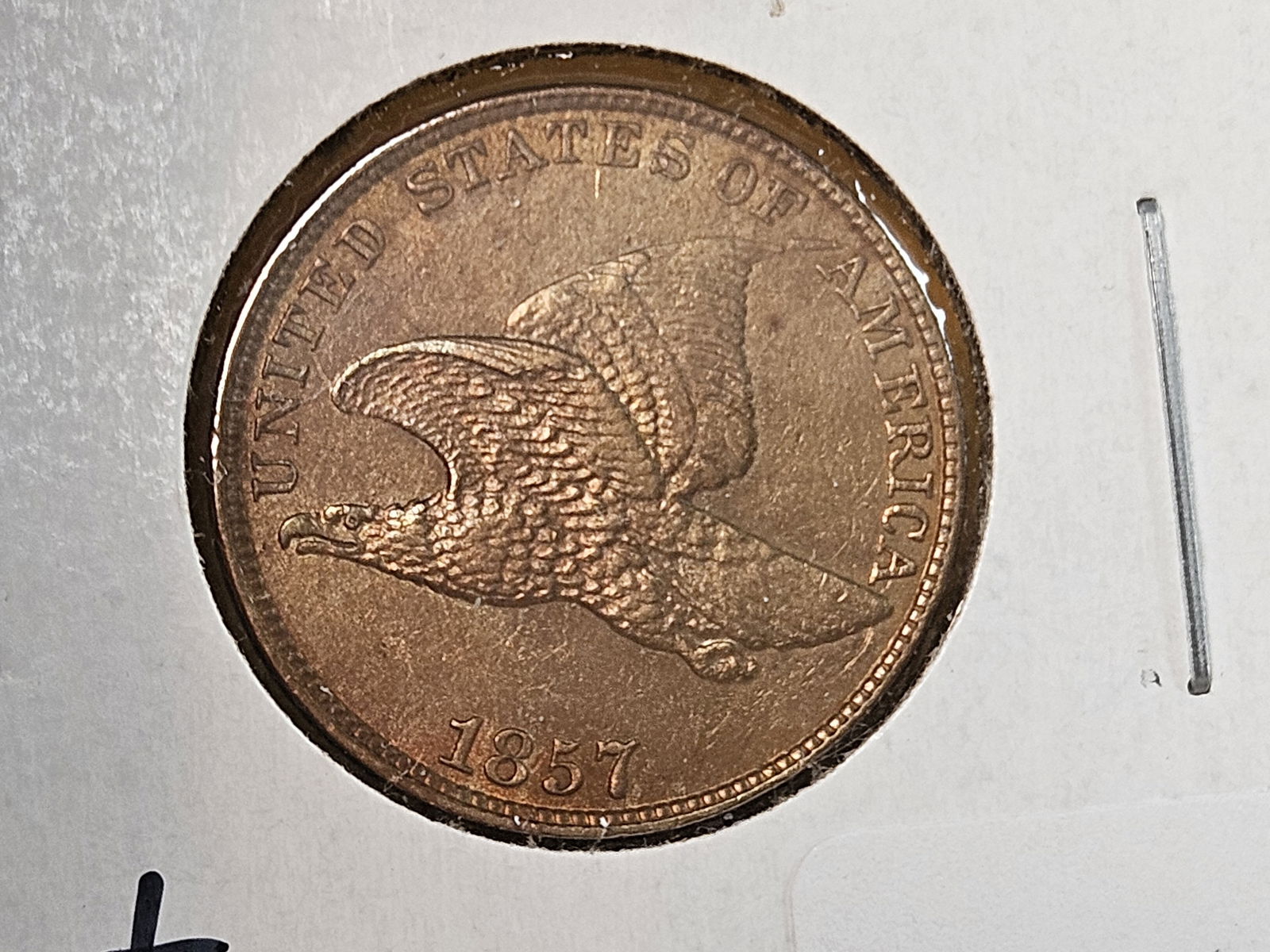 ** 1857 Flying Eagle Cent in About Uncirculated - 55 - 4