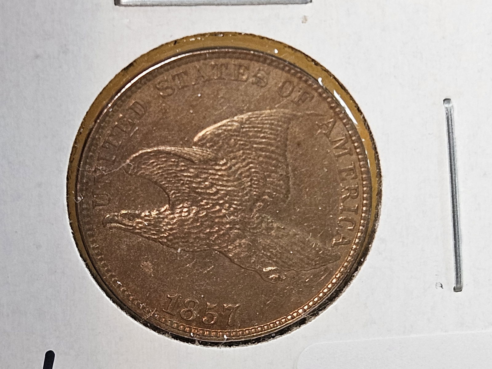 ** 1857 Flying Eagle Cent in About Uncirculated - 55 - 5