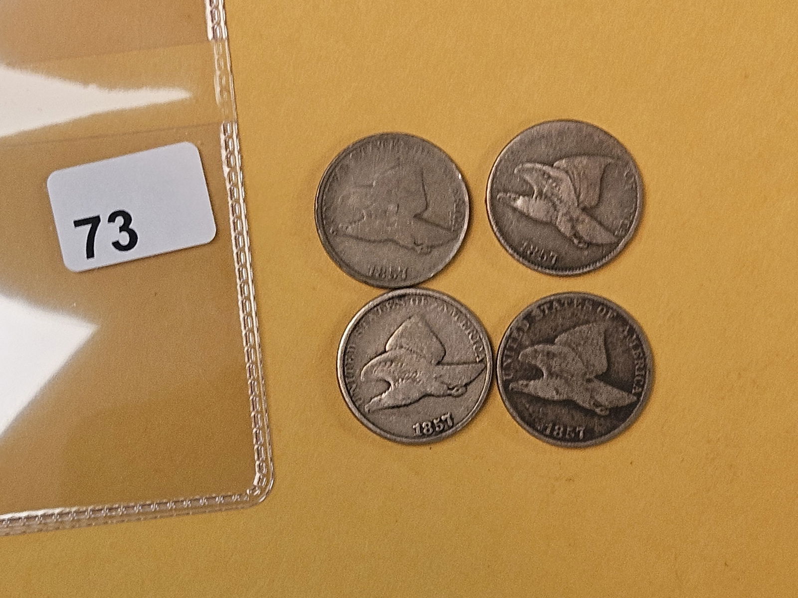 Four 1857 Flying Eagle Cents - 2