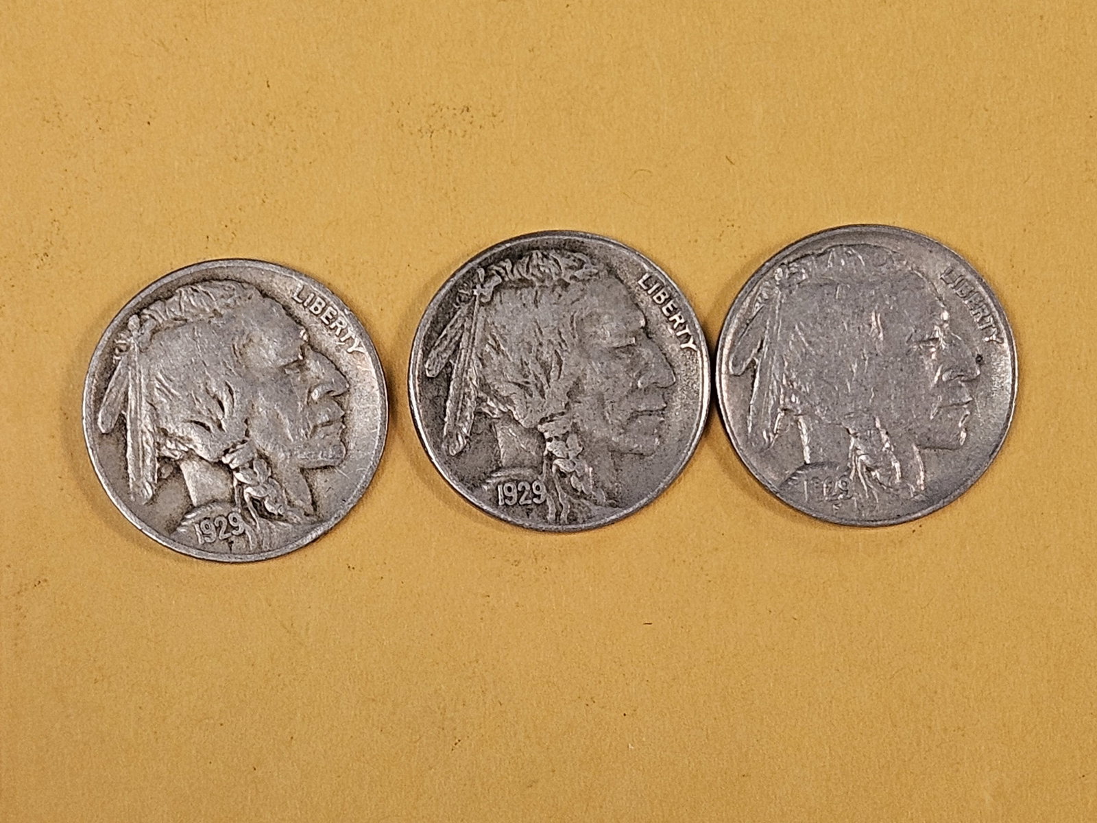 1929 P-D-S Buffalo Nickel Trio: In Very Fine plus to Extra Fine 