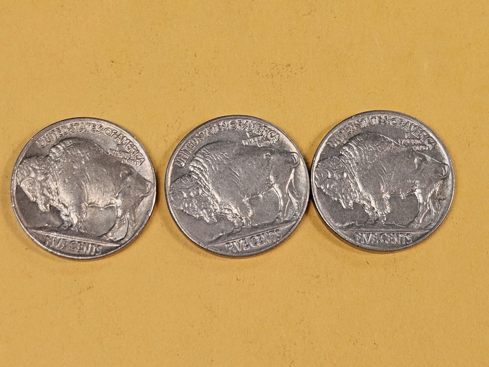 Three Choice Brilliant Uncirculated Buffalo Nickels - 4