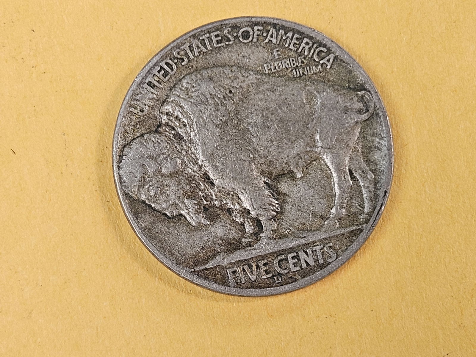 * Semi-Key 1913-D Buffalo Nickel in Extra Fine - 3