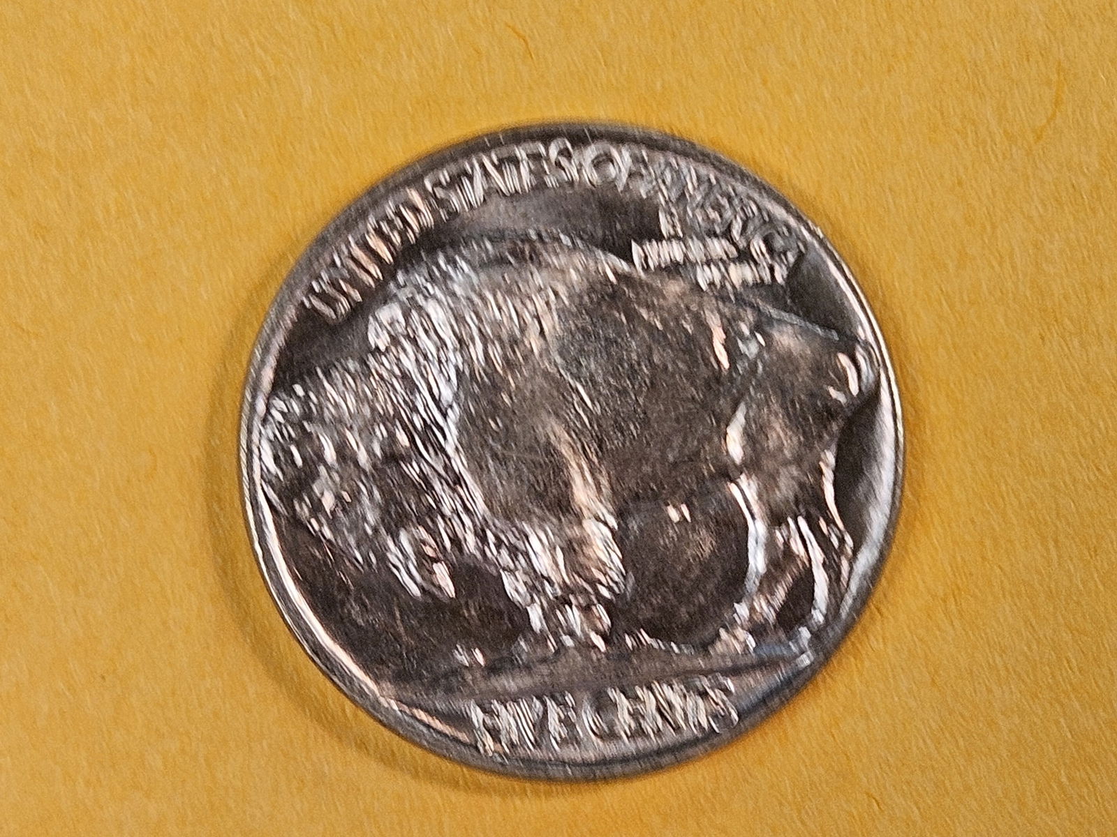 GEM Brilliant Uncirculated 1937 Buffalo Nickel - 8
