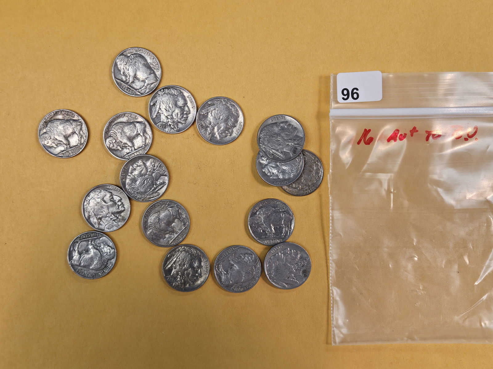 Sixteen Brilliant Buffalo Nickels (1 of 3)