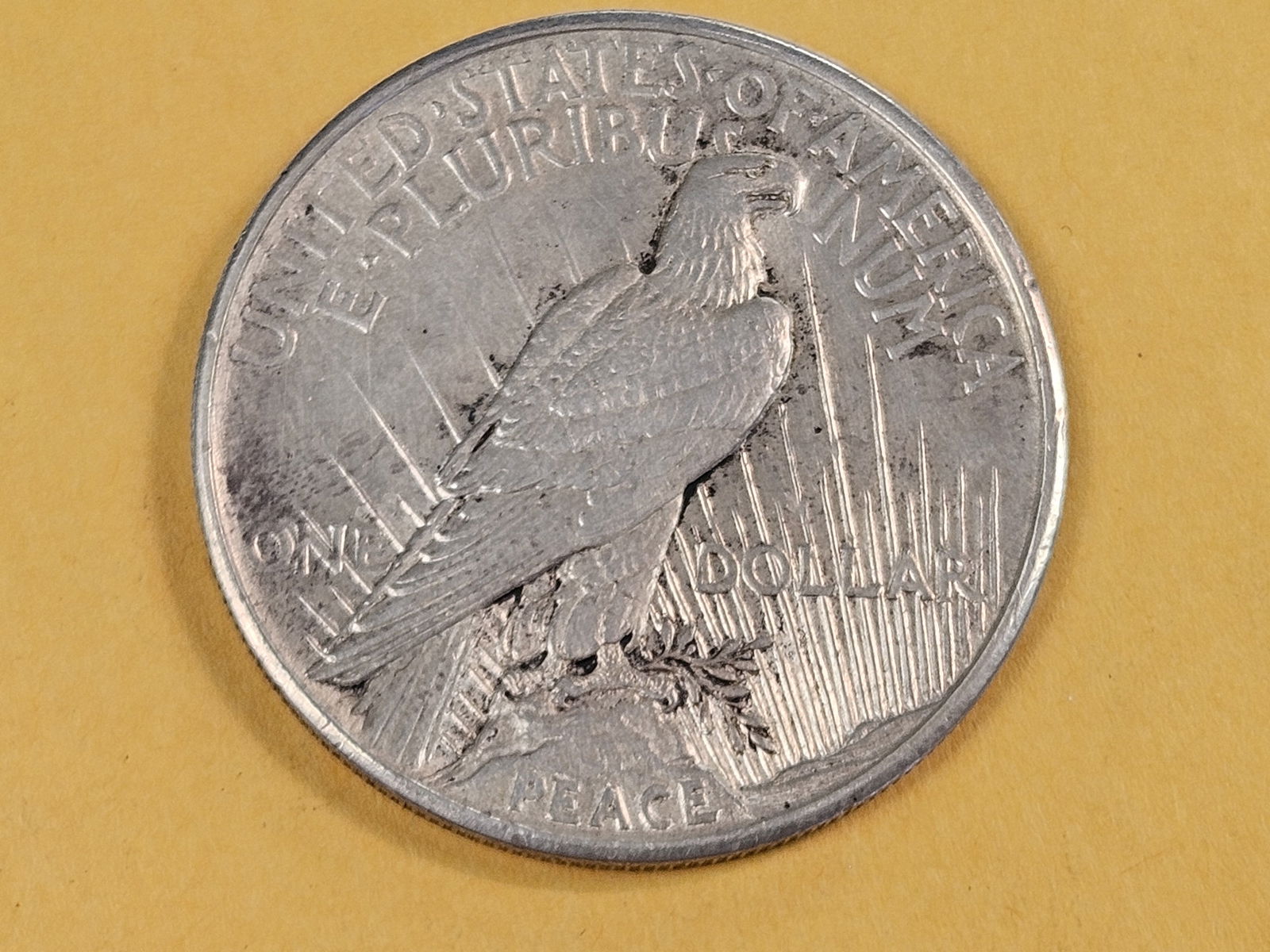 ** KEY DATE ** 1921 Peace silver Dollar in About Uncirculated plus - 4