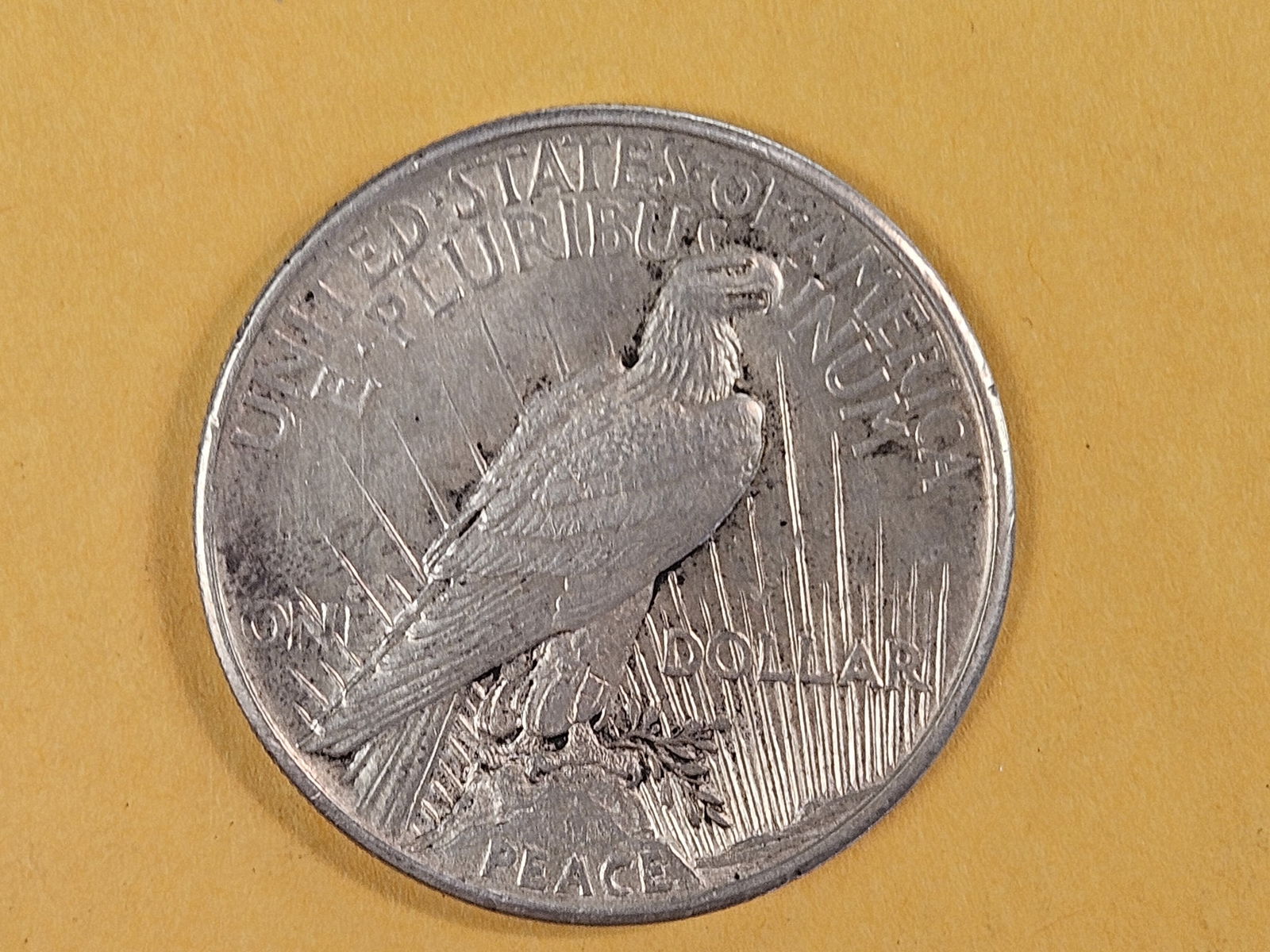 ** KEY DATE ** 1921 Peace silver Dollar in About Uncirculated plus - 5