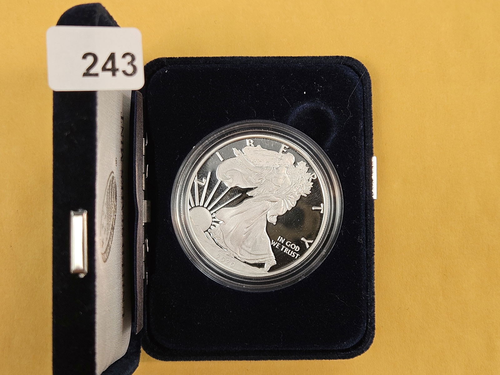 GEM Proof Deep Cameo 2020 American Silver Eagle - 2
