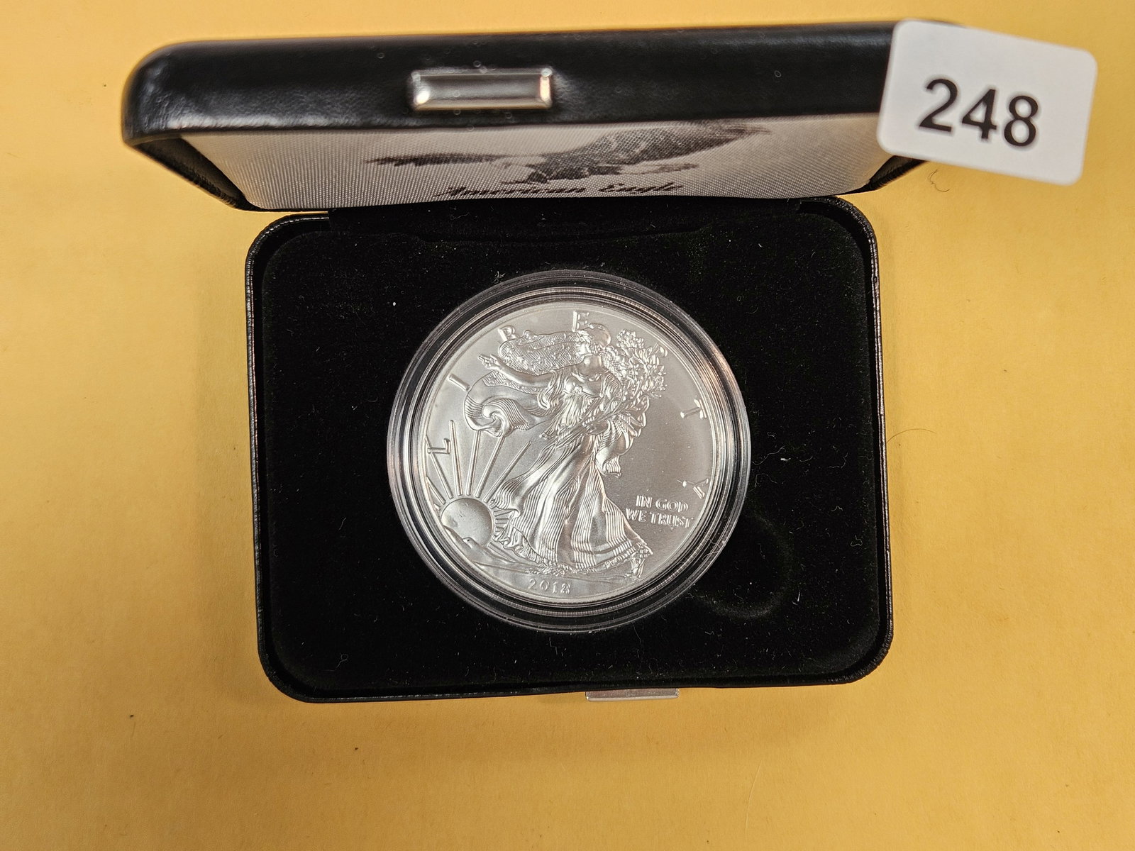GEM Brilliant Uncirculated 2018 American Silver Eagle (1 of 2)