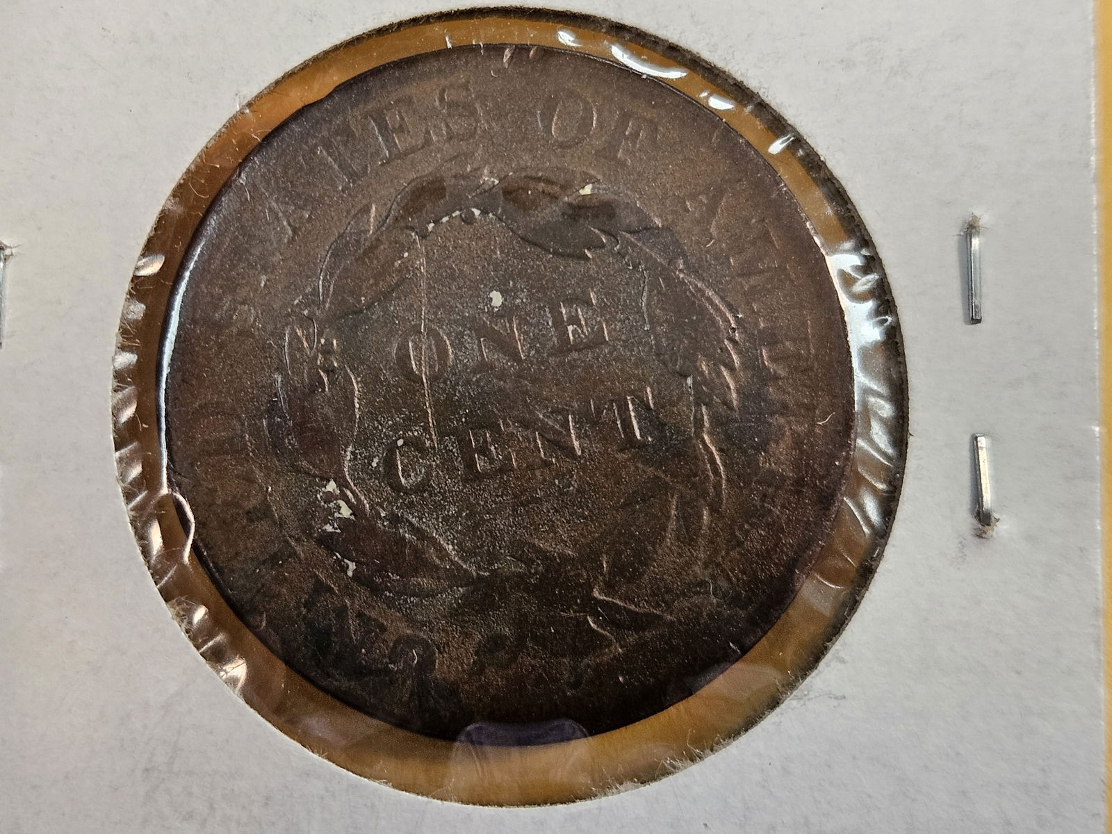 1819 and 1820 Coronet Head Large Cents - 5