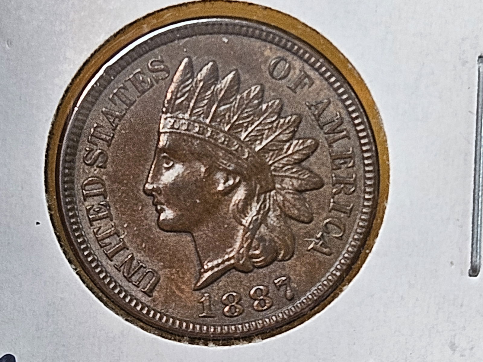 GEM Brilliant Uncirculated 1887 Indian cent - 5
