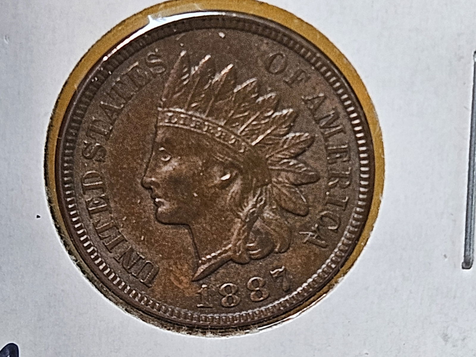 GEM Brilliant Uncirculated 1887 Indian cent - 6