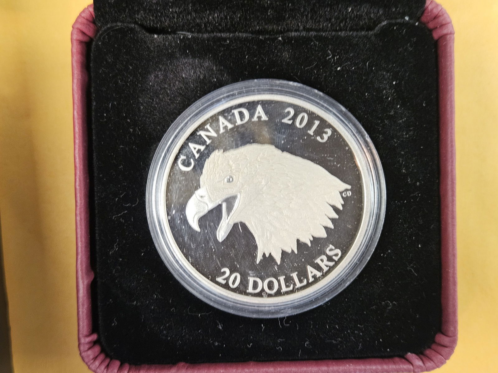 2013 GEM Proof Deep Cameo Canada Silver Twenty Dollars - 3