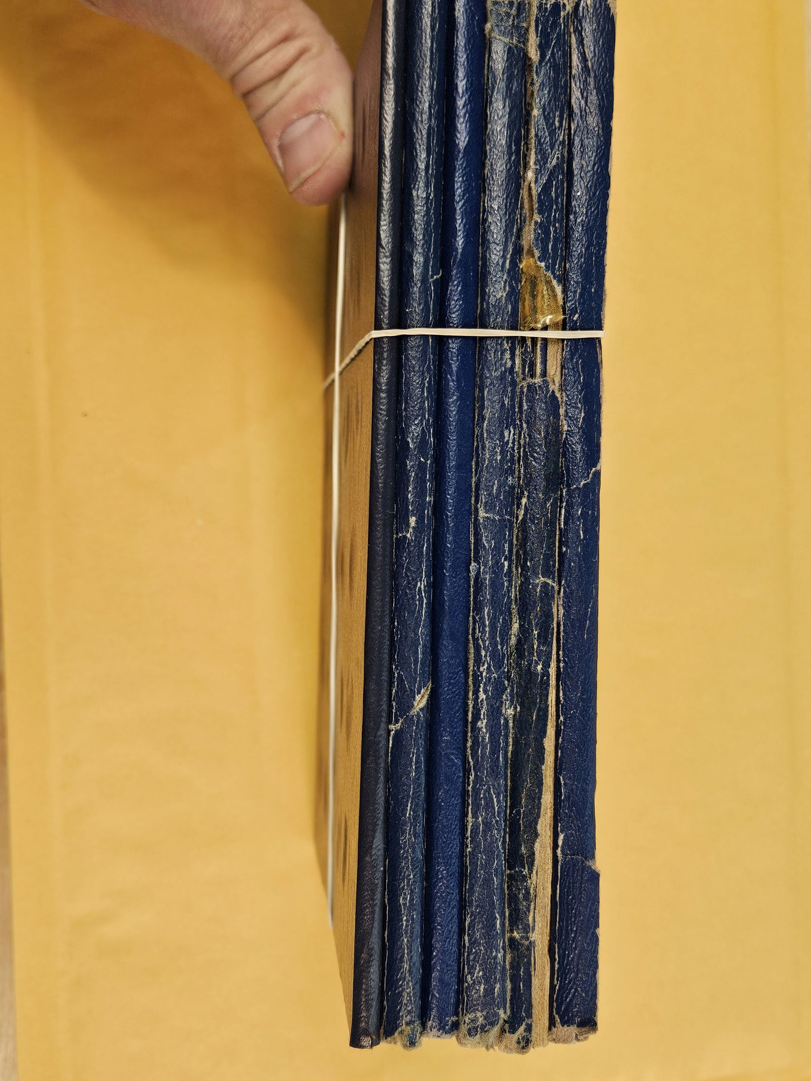 Six Lincoln Head Cent albums - 2