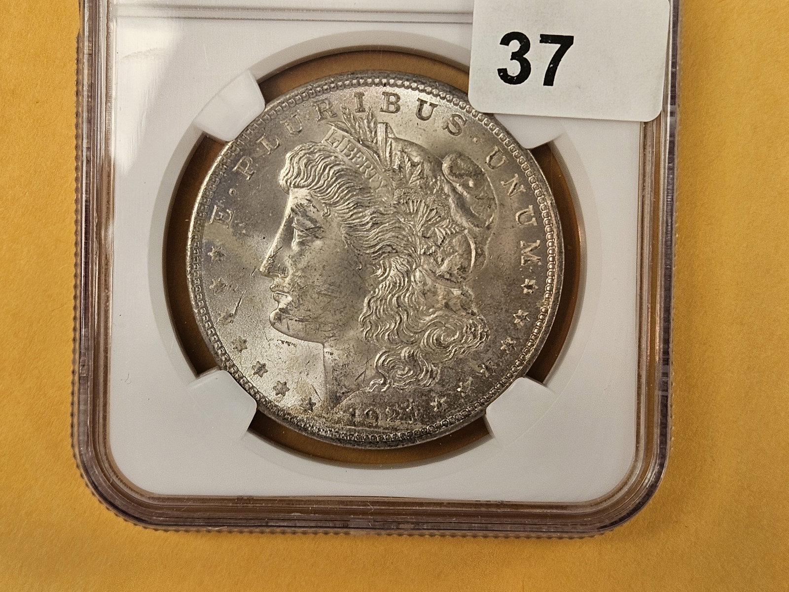 NGC 1921 Morgan Dollar in Mint State 63 (1 of 3)
