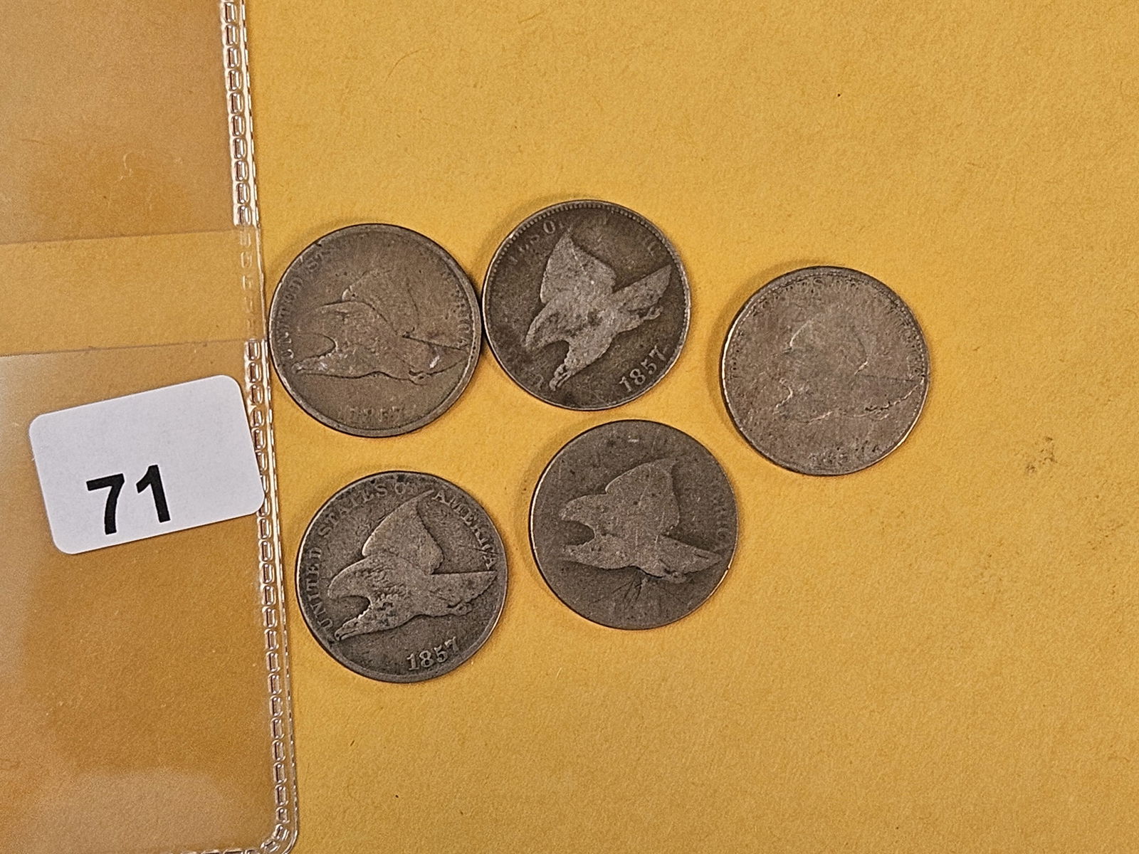 Five 1857 Flying eagle Cents - 2