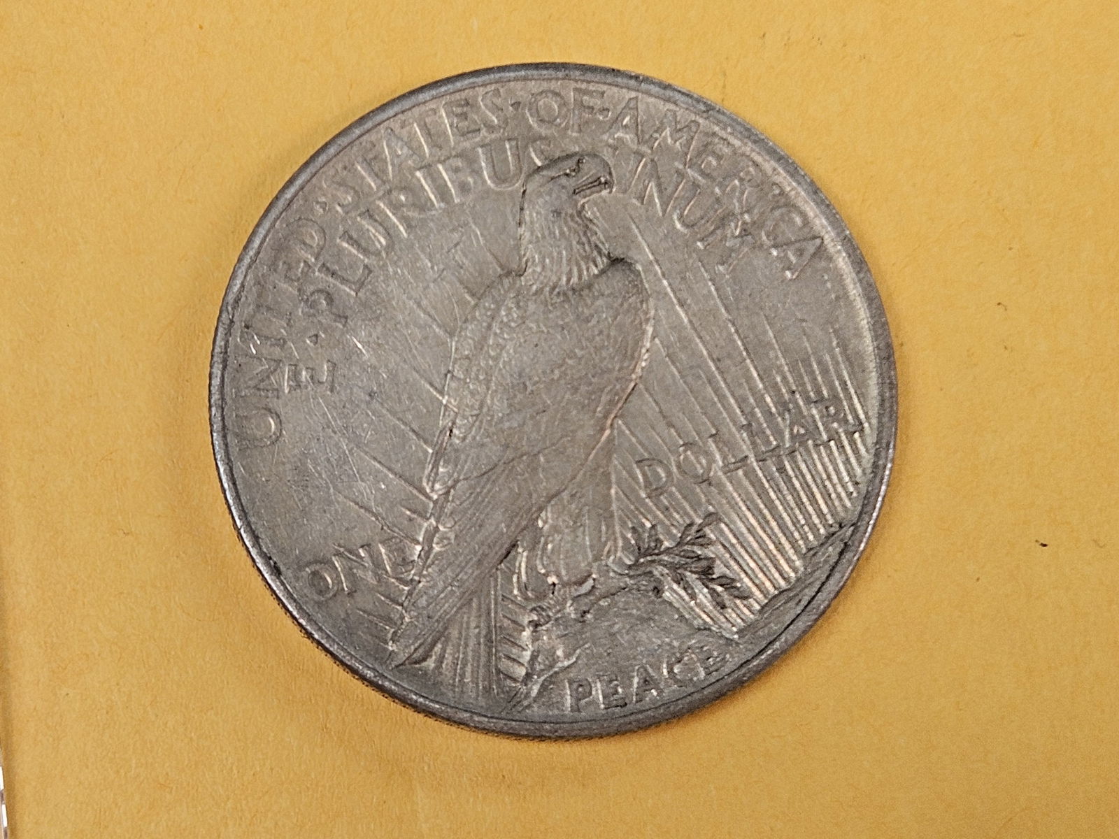 ** KEY DATE ** 1921 Peace silver Dollar in Extra Fine - 3