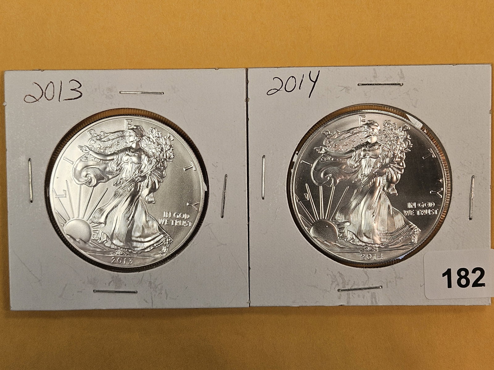 Two GEM Brilliant Uncirculated American Silver Eagles (1 of 2)