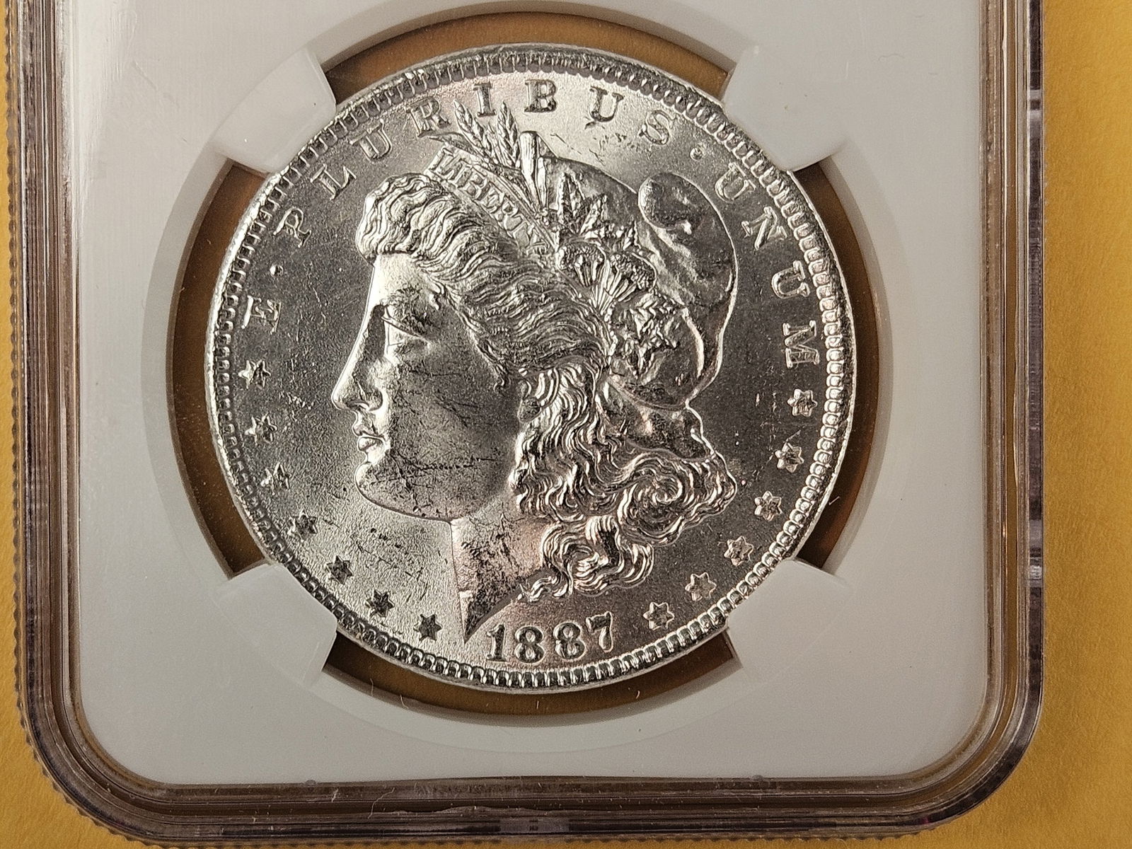 NGC 1887 Morgan Dollar in Mint State 63 (1 of 3)