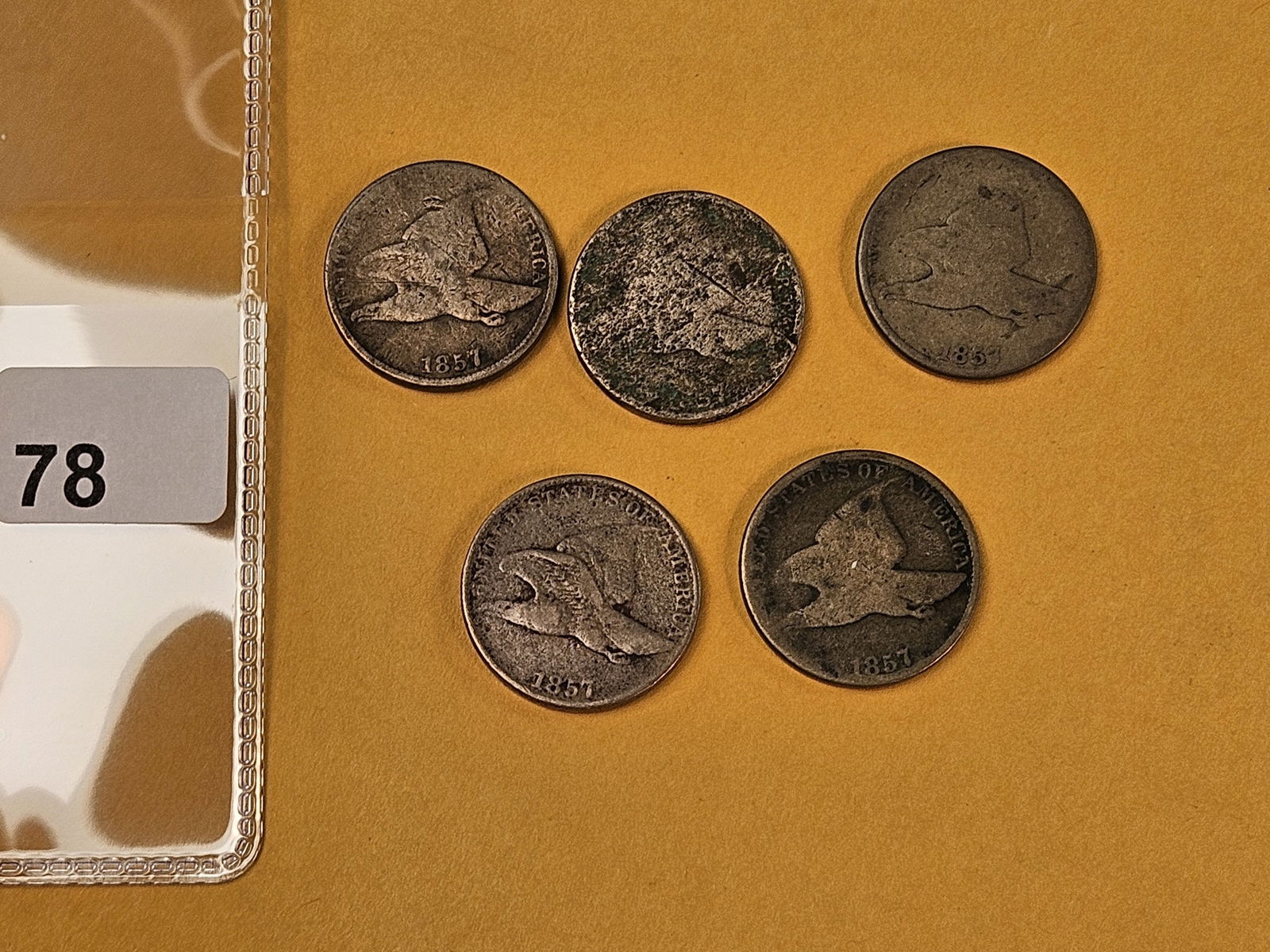 Five 1857 Flying Eagle Cents (1 of 2)