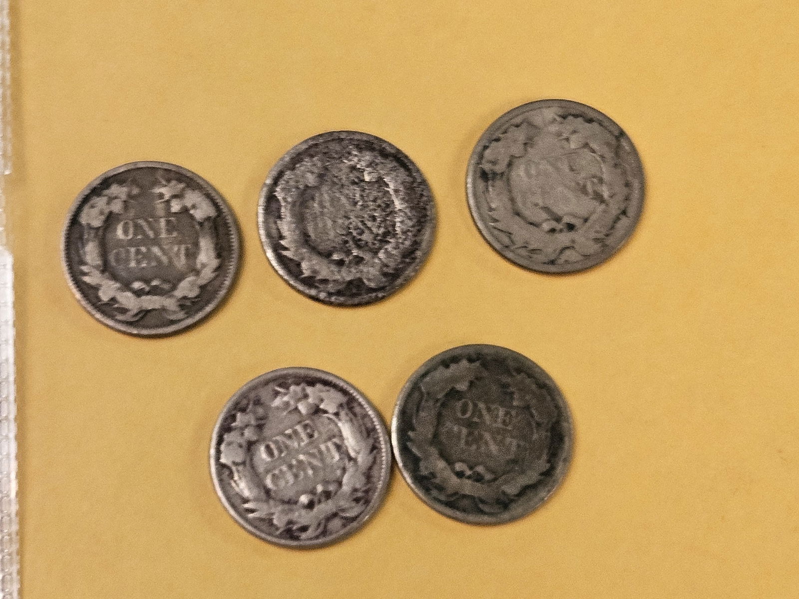 Five 1857 Flying Eagle Cents - 2