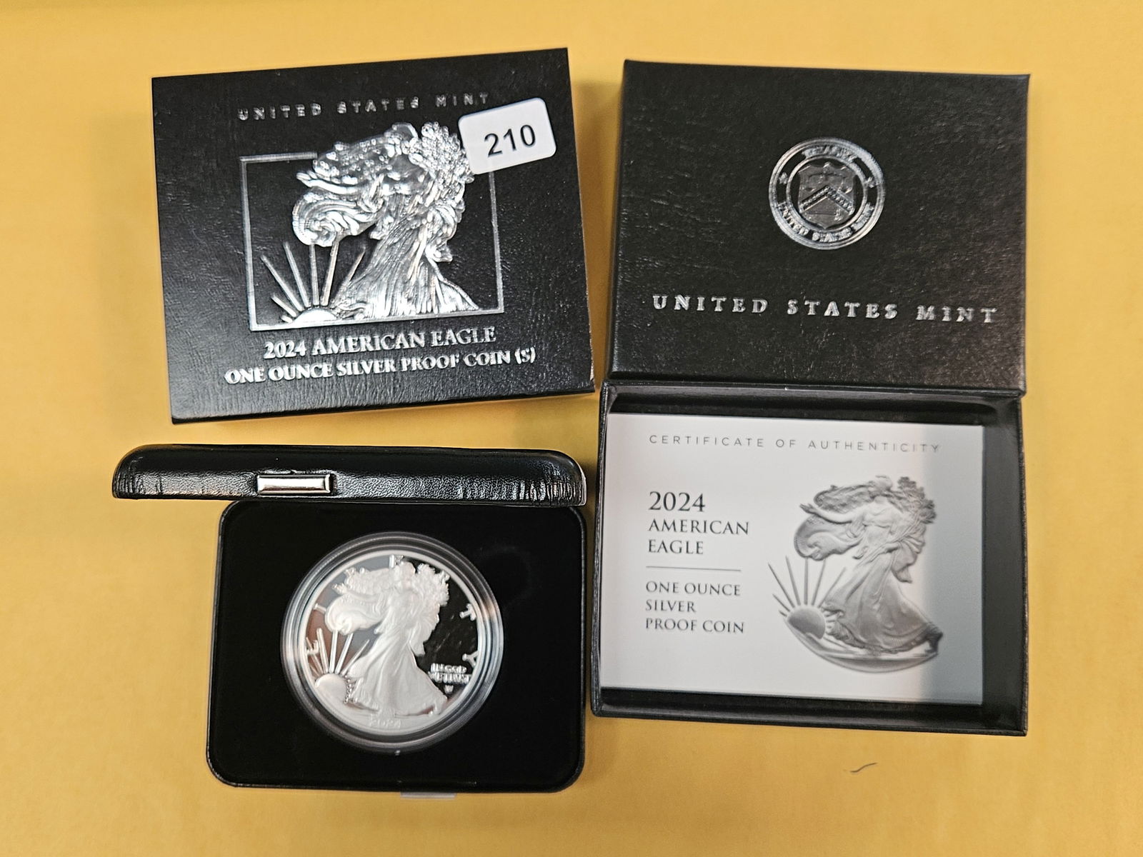 GEM Proof Deep Cameo 2024-S American Silver Eagle (1 of 3)