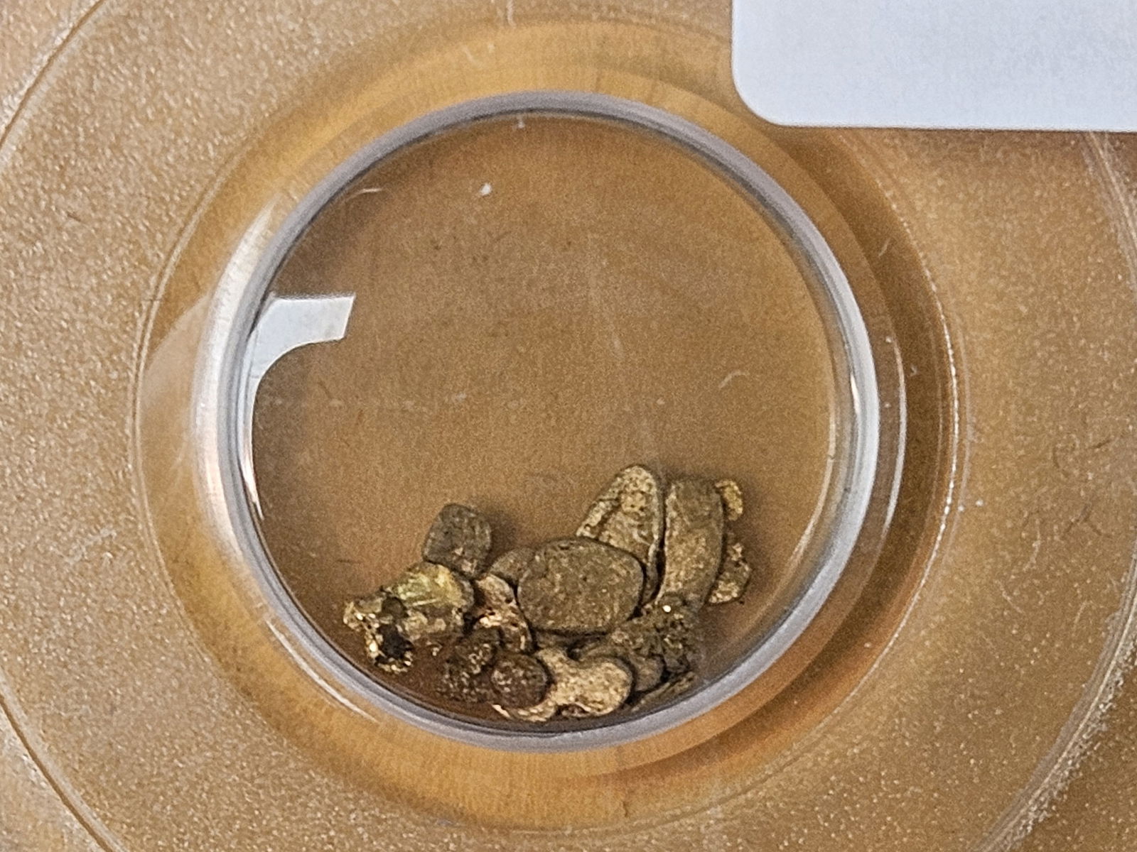 GOLD! PCGS California Gold Rush Nuggets (1 of 4)