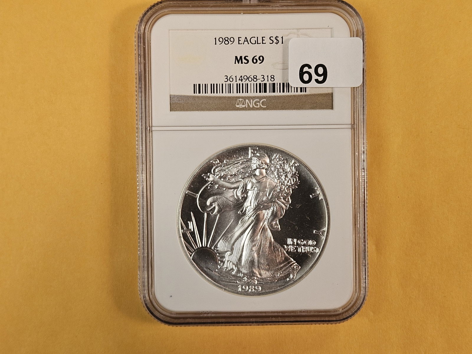 NGC 1989 American Silver Eagle in Mint State 69 (1 of 2)