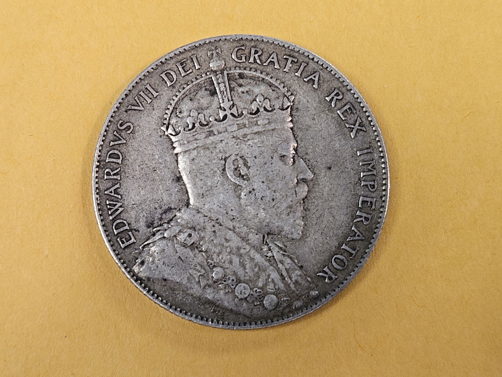 1909 Newfoundland fifty cents in Extra Fine: KM 11 