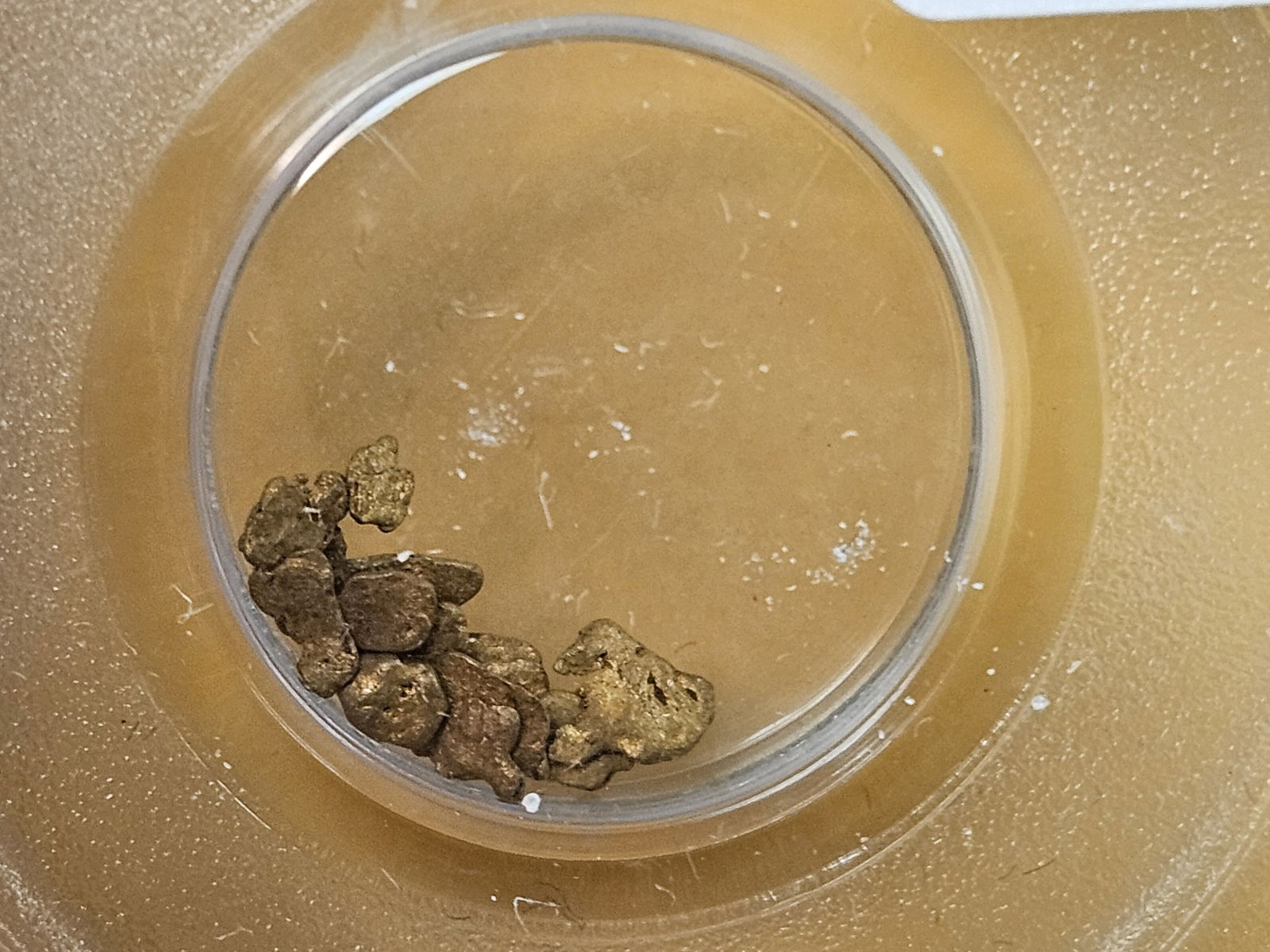 GOLD! PCGS California Gold Rush Gold Nuggets!: From the Wreck of the S. S. Central America 1857! 