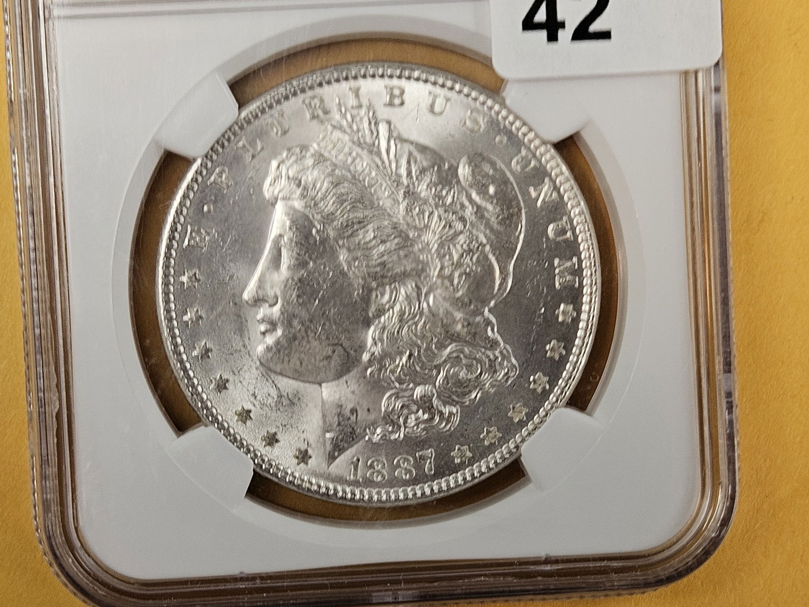 NGC 1887 Morgan Dollar in Mint State 63 (1 of 3)