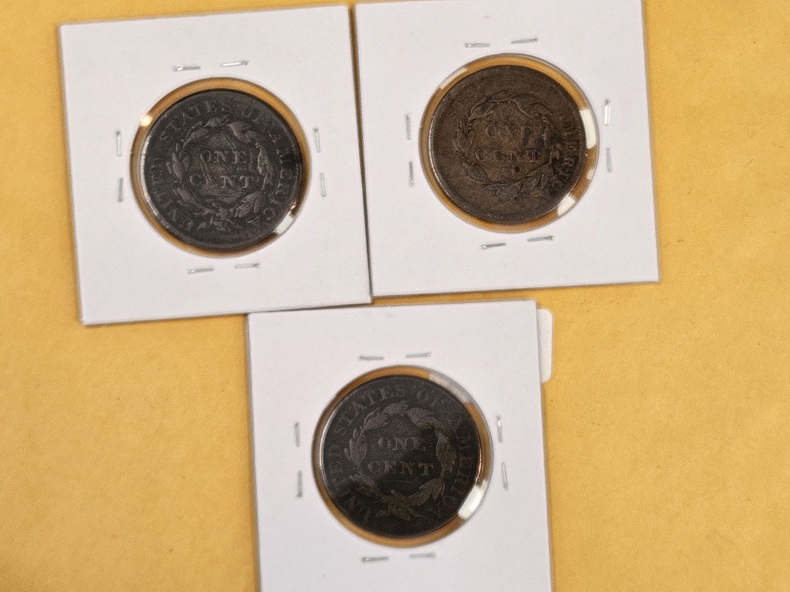 Three mixed Large Cents - 4