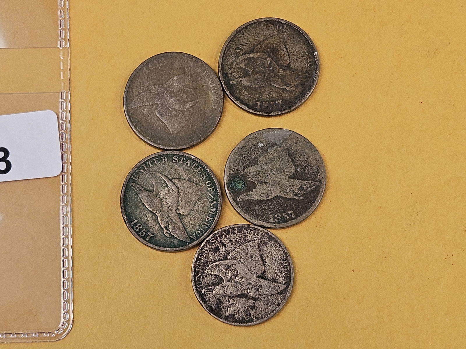 Five 1857 Flying Eagle Cents: All circulated 