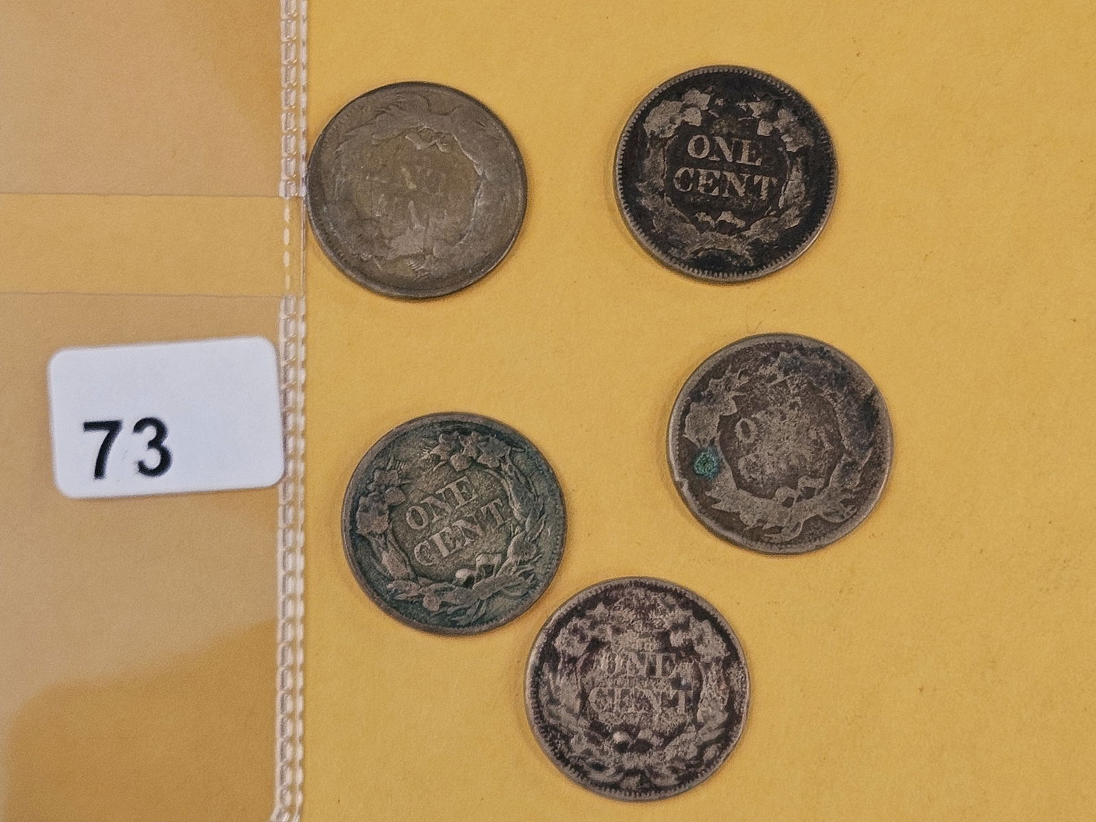 Five 1857 Flying Eagle Cents - 2