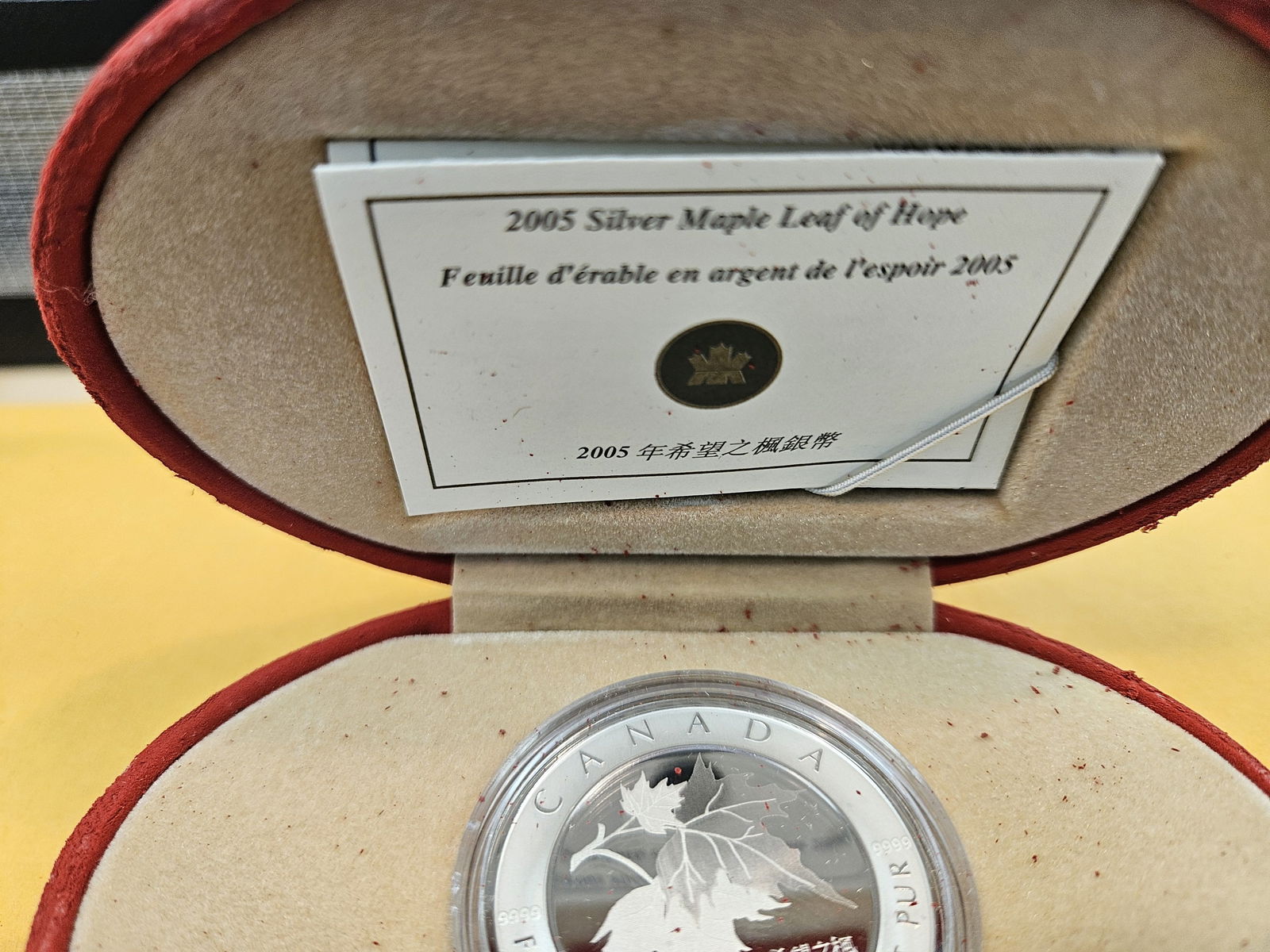 GEM Proof Deep Cameo 2005 Silver Maple Leaf of Hope - 2