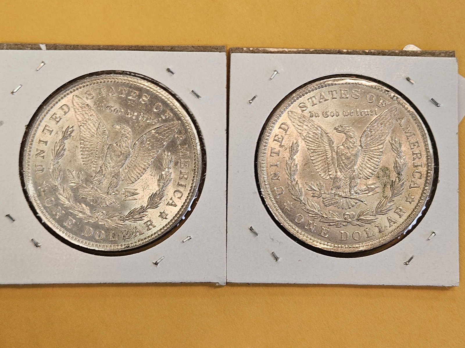 Two Choice Brilliant Uncirculated 1921 Morgan silver Dollars - 3