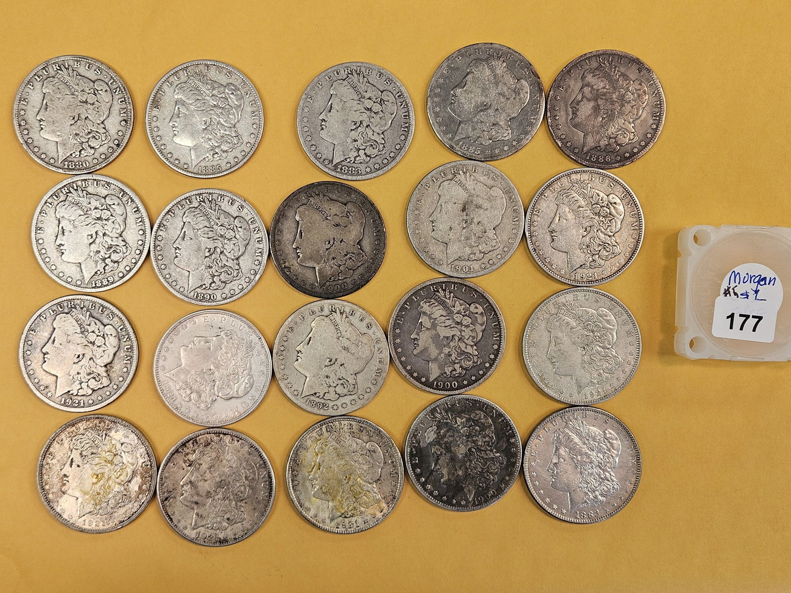 ** FULL ROLL ** Twenty Morgan Silver Dollars: Mixed dates and grades