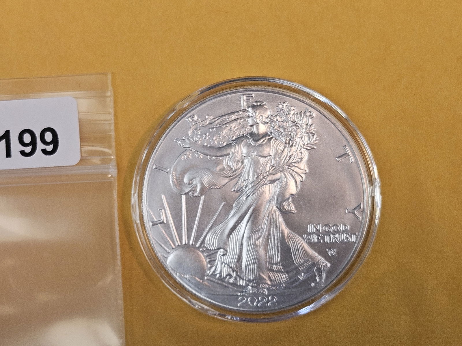 GEM Brilliant Uncirculated 2022 American Silver Eagle (1 of 2)