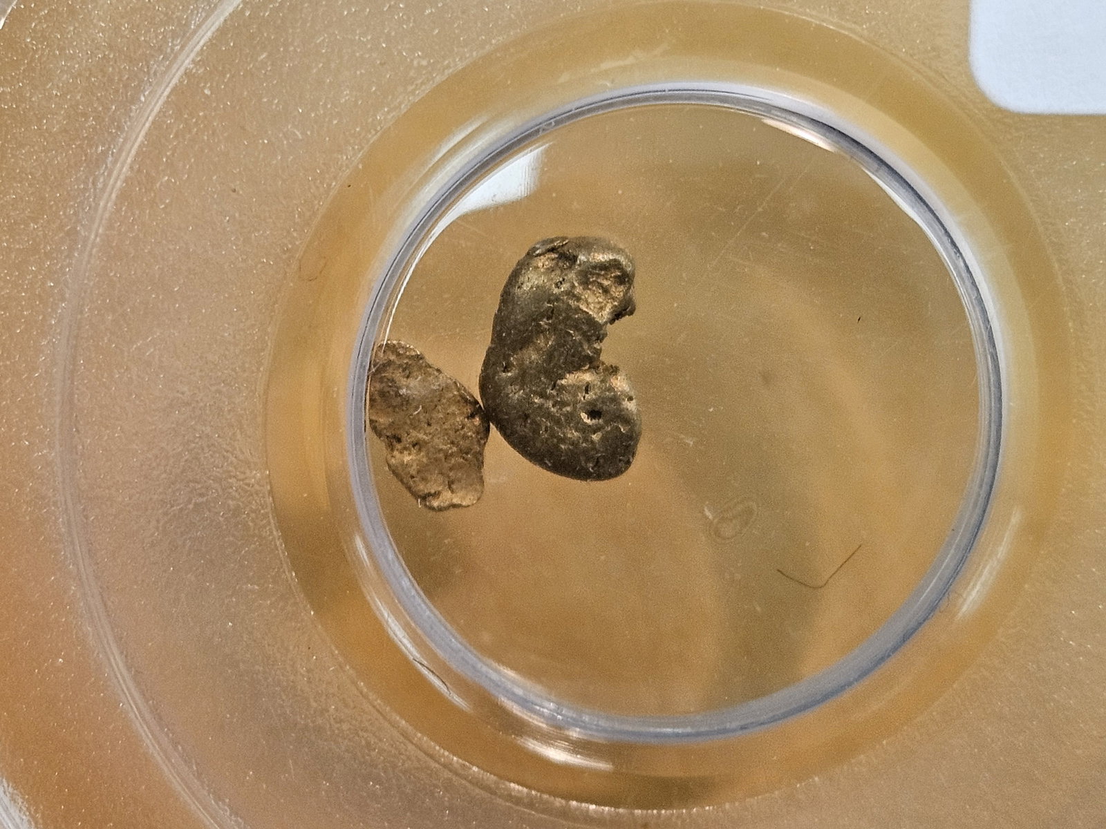 GOLD! PCGS California Gold Rush Gold Nuggets: From the S. S. Central America 