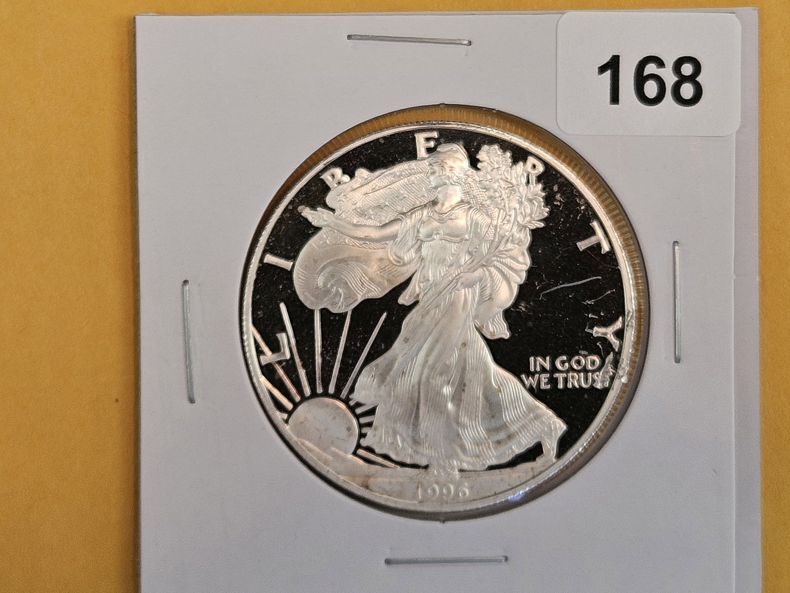 GEM Proof Deep Cameo 1996 American Silver Eagle: Impaired Proof. Damaged 